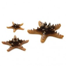 biOrb Natural Starfish Set